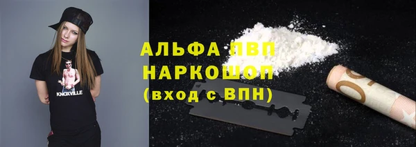эйфоретик Каменногорск