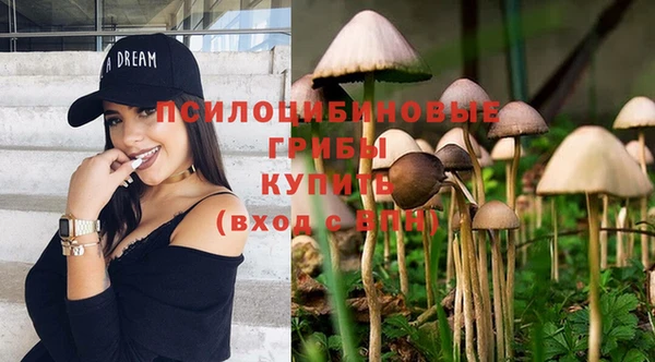 альфа пвп Карпинск